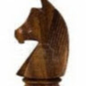 Meet your Posher, Jerry